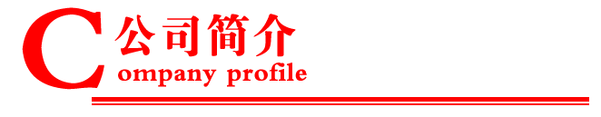 公司简介表头.png